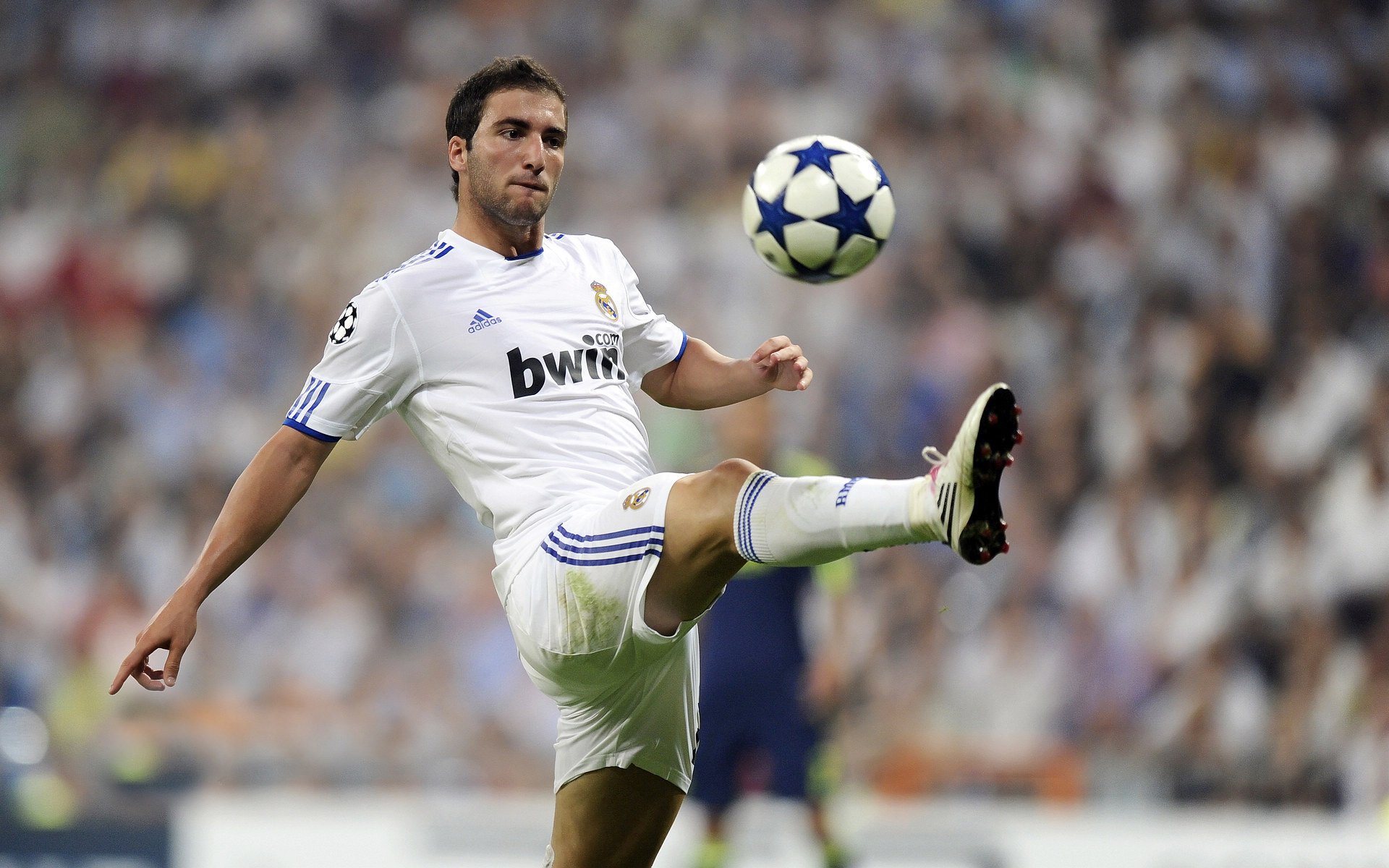 开云2026-恩佐一人撕裂整条防线！阿尔及利亚巅峰对决碾压爱尔兰，中场魔术师导演屠杀夜